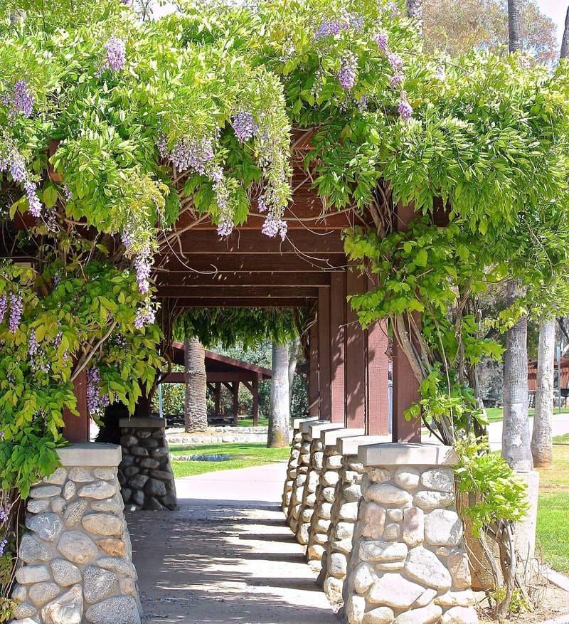 Garden Arbor